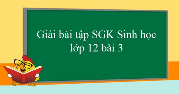 Giải bài tập SGK Sinh học lớp 12 bài 3: Điều hòa hoạt động gen