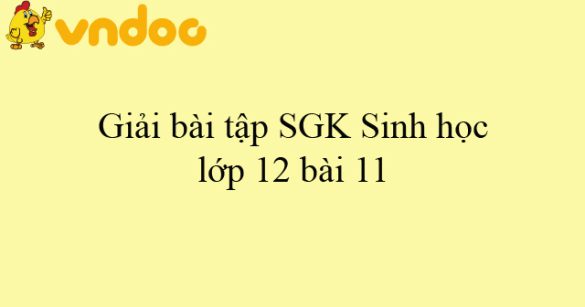 Giải bài tập SGK Sinh học lớp 12 bài 11: Liên kết gen và hoán vị gen