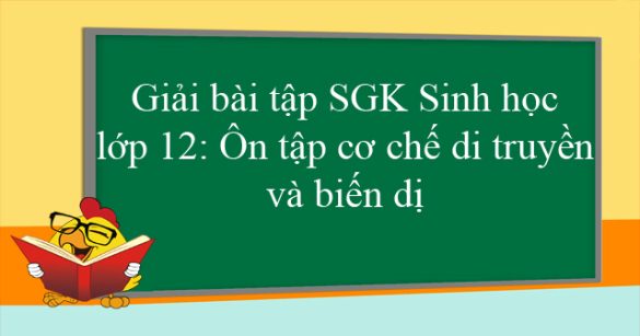 Giải bài tập SGK Sinh học lớp 12: Ôn tập cơ chế di truyền và biến dị