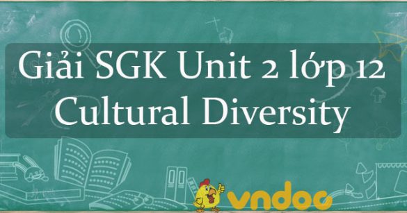 Giải SGK Unit 2 lớp 12: Cultural Diversity Reading Writing Language focus