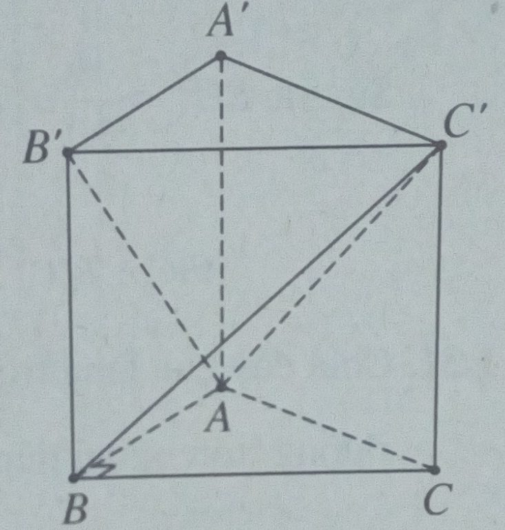 Bài tập toán 12