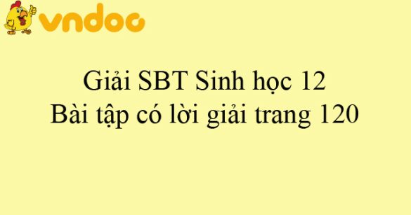 Giải SBT Sinh học 12: Bài tập có lời giải trang 120