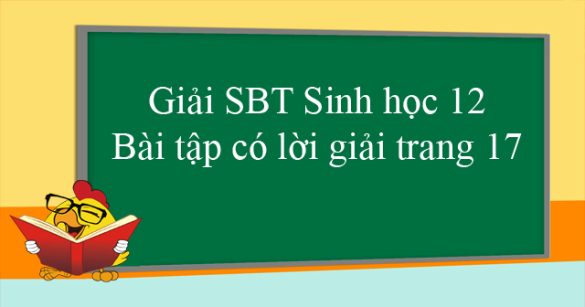 Giải SBT Sinh học 12: Bài tập có lời giải trang 17