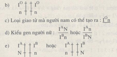 Giải SBT Sinh học 12: Bài tập có lời giải trang 17