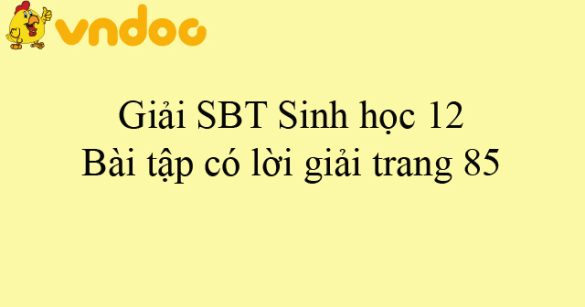 Giải SBT Sinh học 12: Bài tập có lời giải trang 85