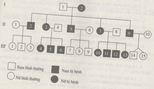 Giải SBT Sinh học 12: Bài tập trắc nghiệm trang 29