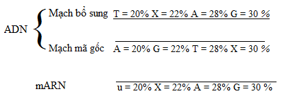 Giải SBT Sinh học 12: Bài tập trắc nghiệm trang 5