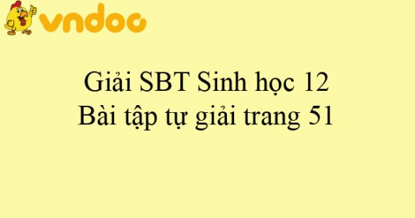 Giải SBT Sinh học 12: Bài tập tự giải trang 51