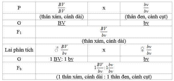 Liên kết gen