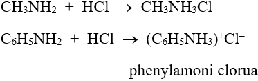 Lý thuyết Amin: Tính chất hóa học, Tính chất vật lí, Cấu tạo, Điều chế, Ứng dụng