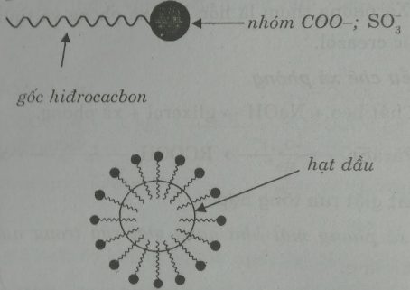 Lý thuyết Chất giặt rửa