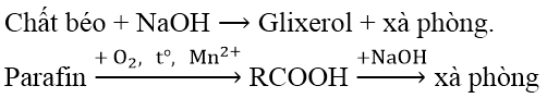 Lý thuyết Chất giặt rửa