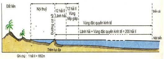 Thiên nhiên chịu ảnh hưởng sâu sắc của biển