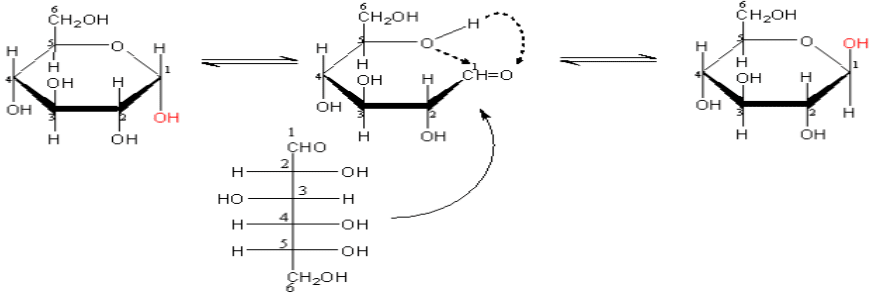 Lý thuyết Glucozo: Tính chất hóa học, Tính chất vật lí, Cấu tạo, Điều chế, Ứng dụng