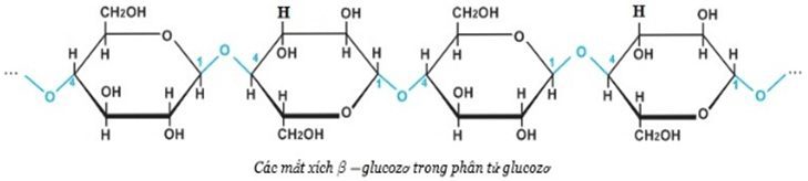 Lý thuyết Xenlulozo: Tính chất hóa học, Tính chất vật lí, Cấu tạo, Điều chế, Ứng dụng