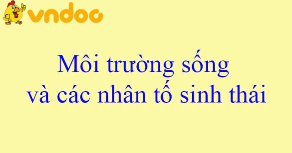 Môi trường sống và các nhân tố sinh thái