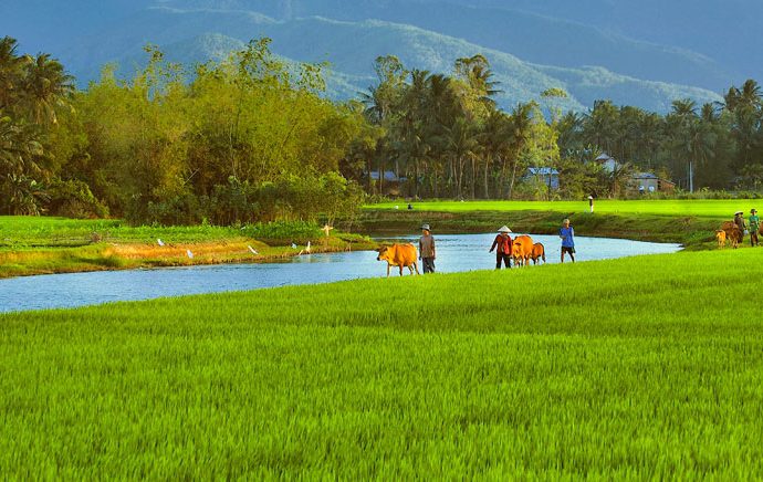 Nét mới trong cảm nhận về Đất nước của Nguyễn Khoa Điềm