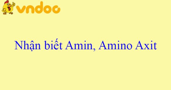 Nhận biết Amin, Amino Axit