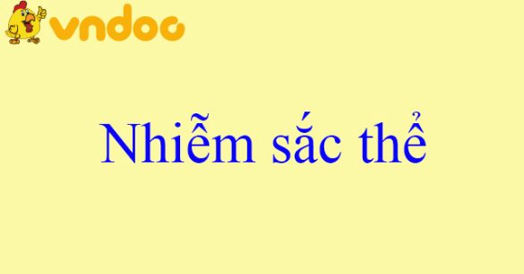 Nhiễm sắc thể