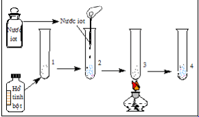 Phản ứng hồ tinh bột