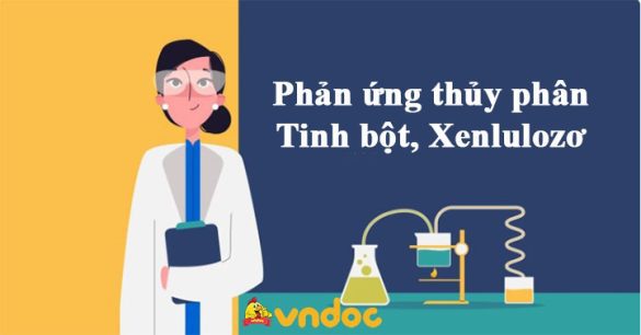 Phản ứng thủy phân Tinh bột, Xenlulozơ