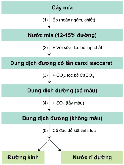 Quy trình sản xuất saccarozo