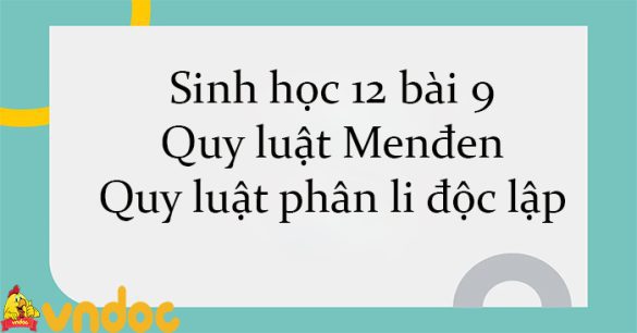 Sinh học 12 bài 9: Quy luật Menđen - Quy luật phân li độc lập