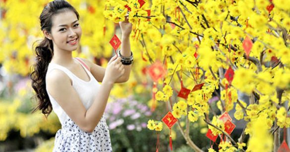 Soạn văn bài: Bắt sấu rừng U Minh Hạ