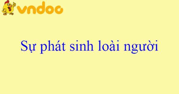 Sự phát sinh loài người