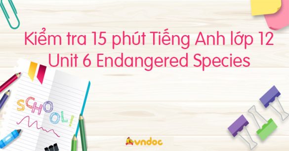 Kiểm tra 15 phút Tiếng Anh lớp 12 Unit 6