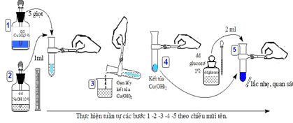 Phản ứng glucozo với Cu(OH)2