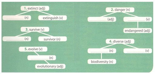 Tiếng Anh 12 Unit 6 Language