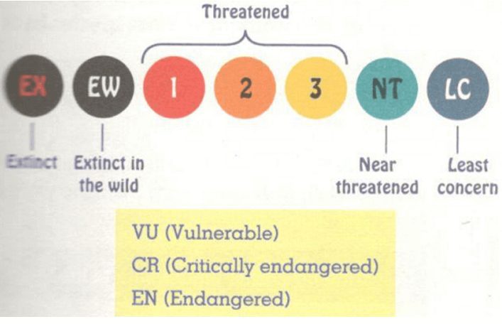 Tiếng Anh 12 Unit 6: Skills