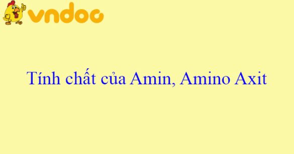 Tính chất của Amin, Amino Axit