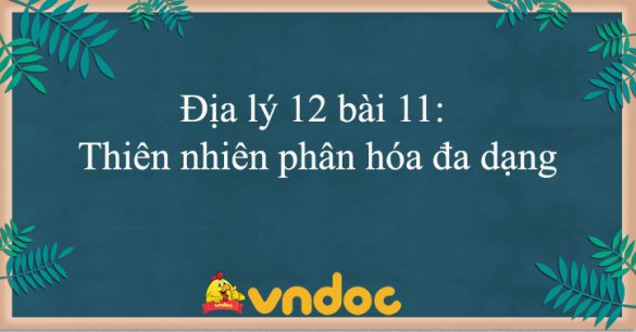 Địa lý 12 bài 11: Thiên nhiên phân hóa đa dạng