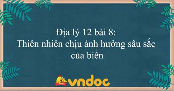 Địa lý 12 bài 8: Thiên nhiên chịu ảnh hưởng sâu sắc của biển