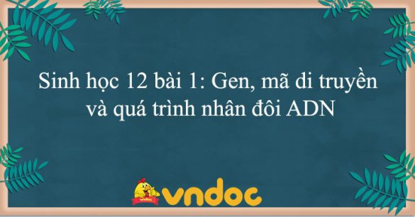 Sinh học 12 bài 1: Gen, mã di truyền và quá trình nhân đôi ADN