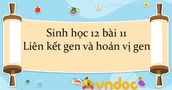 Sinh học 12 bài 11: Liên kết gen và hoán vị gen