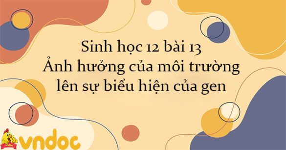 Sinh học 12 bài 13: Ảnh hưởng của môi trường lên sự biểu hiện của gen