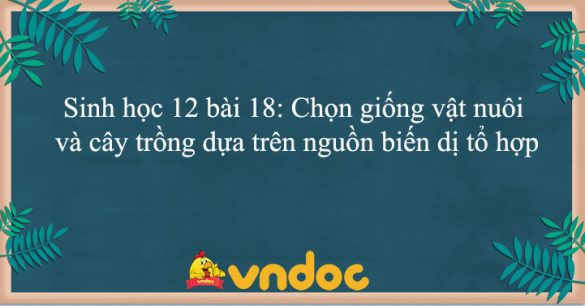 Sinh học 12 bài 18: Chọn giống vật nuôi và cây trồng dựa trên nguồn biến dị tổ hợp