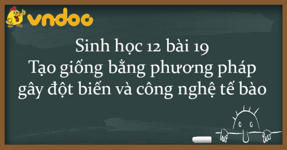 Sinh học 12 bài 19: Tạo giống bằng phương pháp gây đột biến và công nghệ tế bào