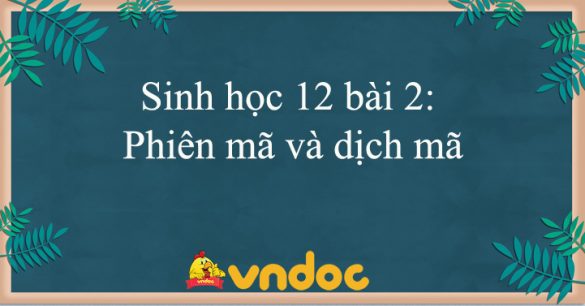 Sinh học 12 bài 2: Phiên mã và dịch mã