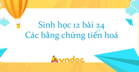 Sinh học 12 bài 24: Các bằng chứng tiến hoá