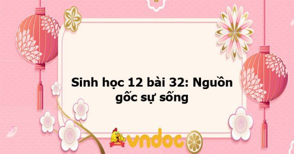 Sinh học 12 bài 32: Nguồn gốc sự sống