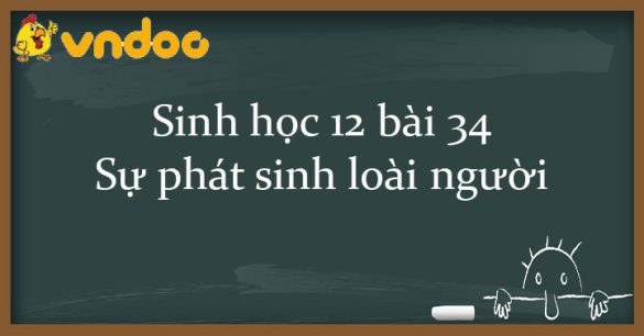 Sinh học 12 bài 34: Sự phát sinh loài người