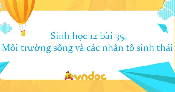 Sinh học 12 bài 35: Môi trường sống và các nhân tố sinh thái