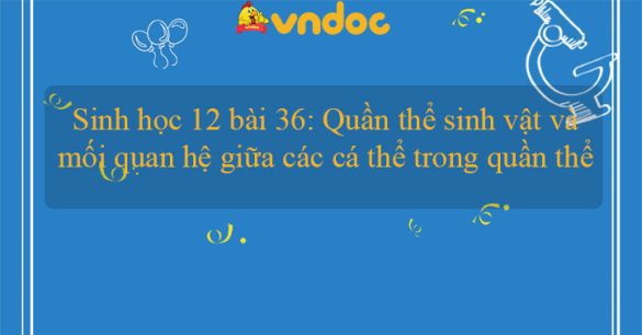 Sinh học 12 bài 36: Quần thể sinh vật và mối quan hệ giữa các cá thể trong quần thể