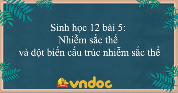 Sinh học 12 bài 5: Nhiễm sắc thể và đột biến cấu trúc nhiễm sắc thể