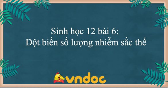 Sinh học 12 bài 6: Đột biến số lượng nhiễm sắc thể