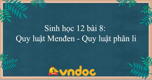 Sinh học 12 bài 8: Quy luật Menđen - Quy luật phân li